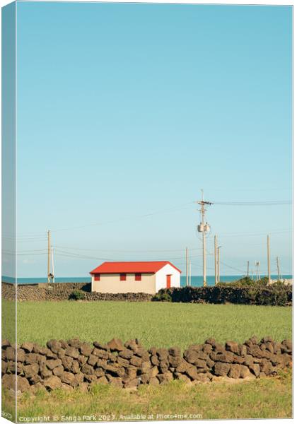 House and green field at Jeju island in Korea Canvas Print by Sanga Park
