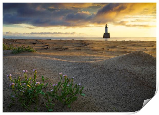 Sea Rocket at Rattray Lighthouse Print by Anthony McGeever