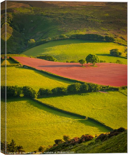 Exmoor Patchwork Canvas Print by Paul Martin