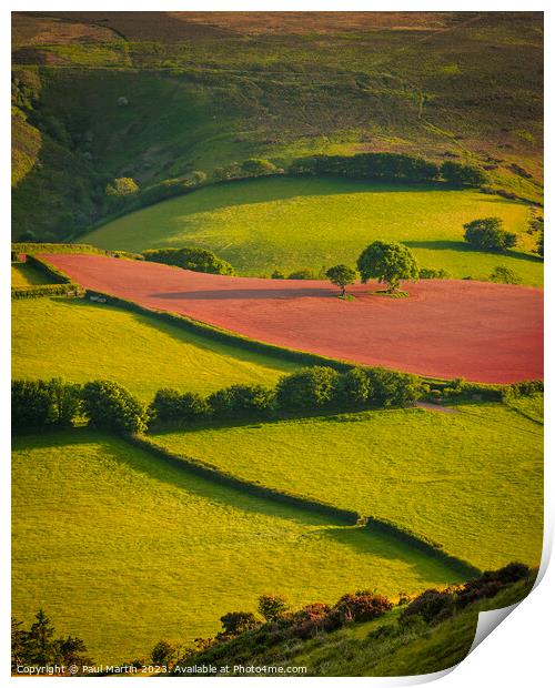 Exmoor Patchwork Print by Paul Martin