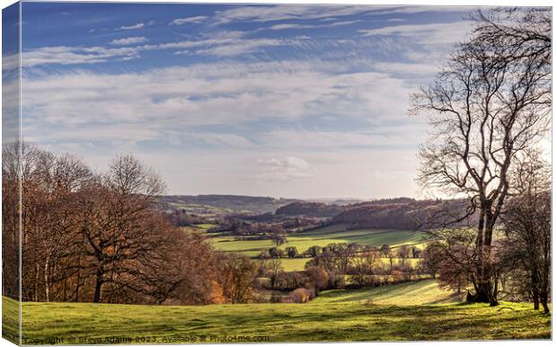 Herefordshire Landscape Canvas Print by Steve Adams