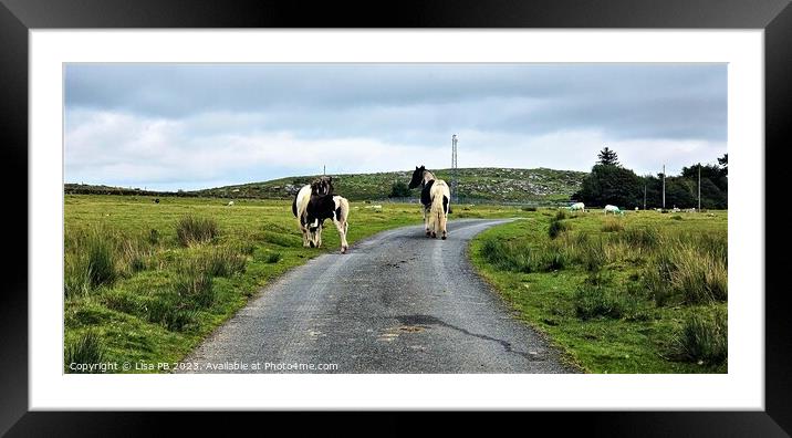 Horses In The Road Framed Mounted Print by Lisa PB