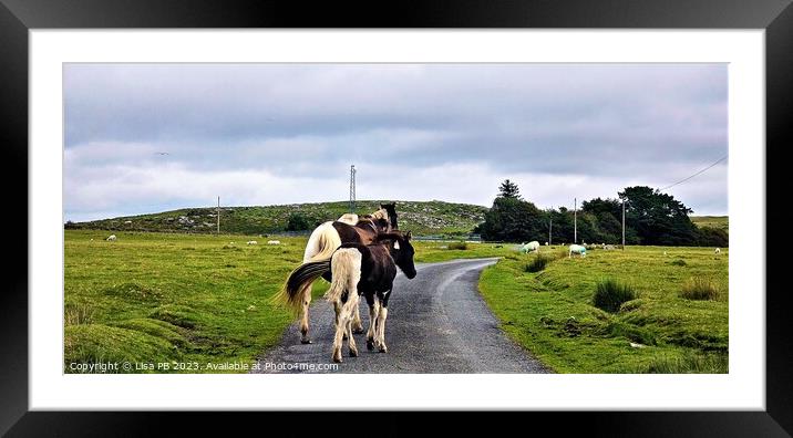 Horse Road Framed Mounted Print by Lisa PB