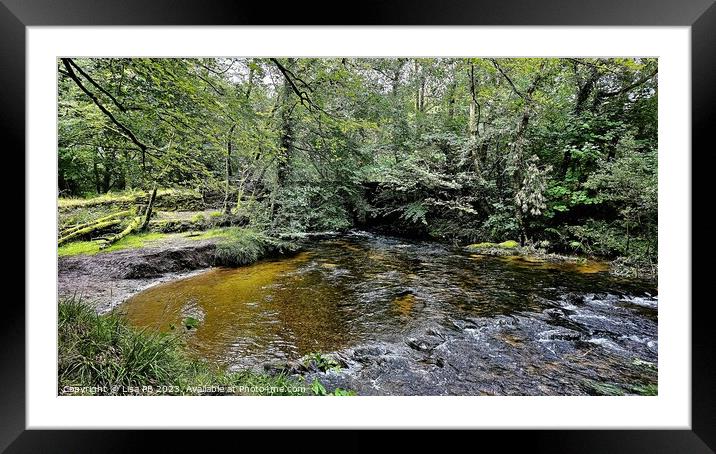 Forest Pond Framed Mounted Print by Lisa PB