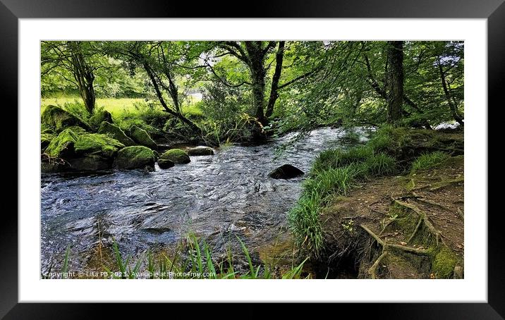Forest River Framed Mounted Print by Lisa PB