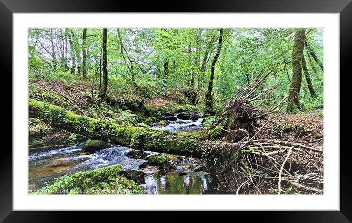 Across The River Framed Mounted Print by Lisa PB