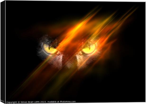 Evil animal eyes in the darkness with fire Canvas Print by Simon Bratt LRPS