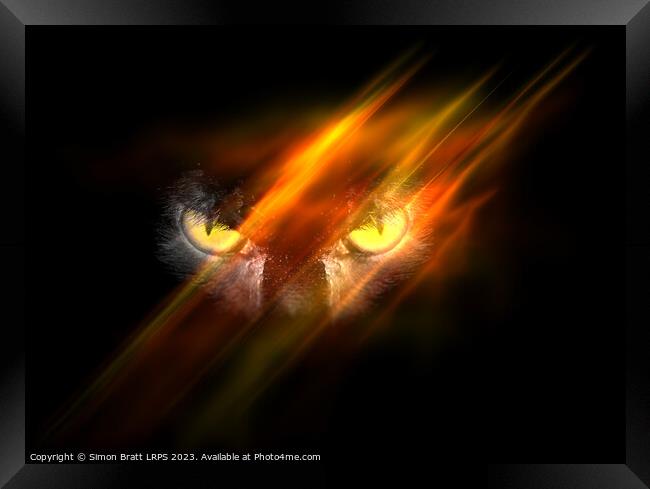 Evil animal eyes in the darkness with fire Framed Print by Simon Bratt LRPS