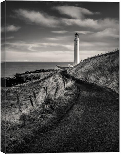 Road to Scurdie Ness Canvas Print by Dave Bowman