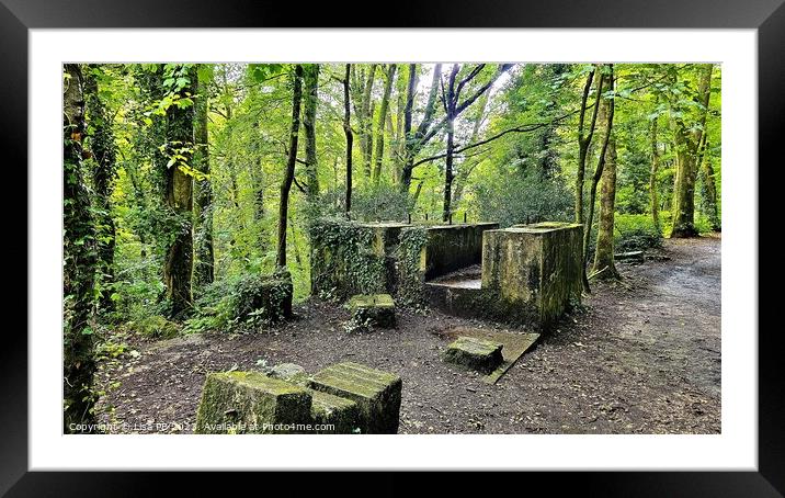 Forest Ruins Framed Mounted Print by Lisa PB