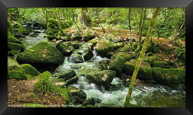 Rocky Waterfall Framed Print by Lisa PB