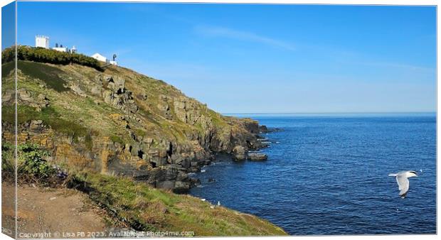 Headland Lighthouse Canvas Print by Lisa PB