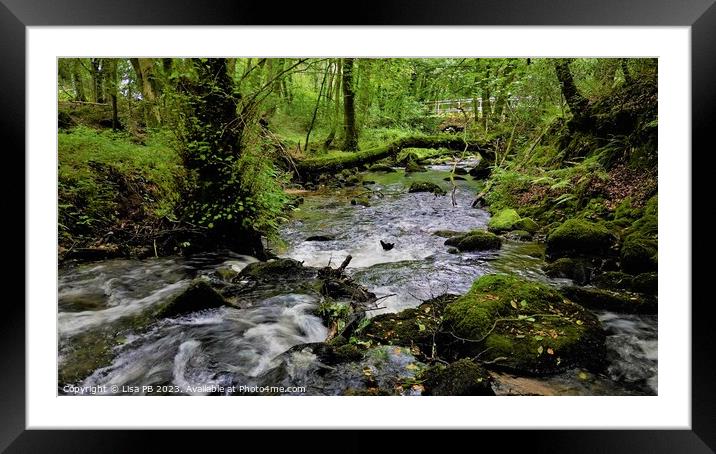 Forest Waterfall Framed Mounted Print by Lisa PB