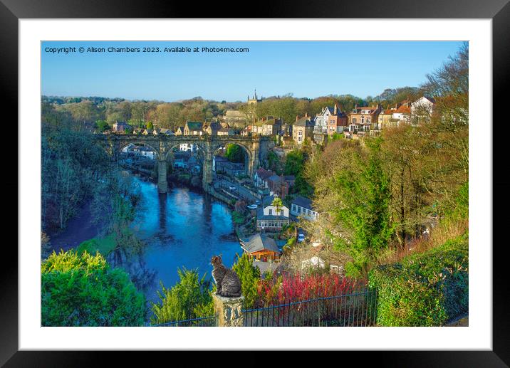 Knaresborough Viaduct Cat Framed Mounted Print by Alison Chambers