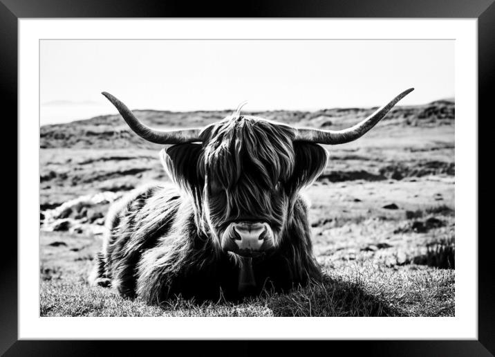 Highland Cow in black and white Framed Mounted Print by Guido Parmiggiani