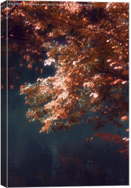 Autumn Dream Canvas Print by Christine Lake