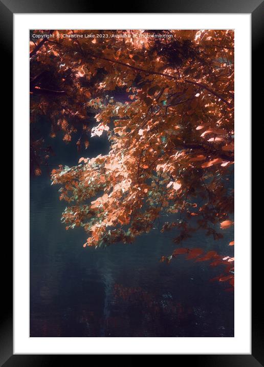 Autumn Dream Framed Mounted Print by Christine Lake