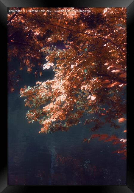 Autumn Dream Framed Print by Christine Lake