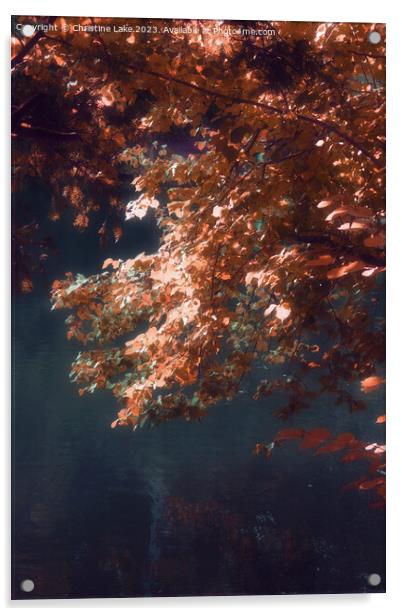 Autumn Dream Acrylic by Christine Lake