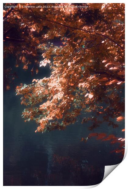 Autumn Dream Print by Christine Lake