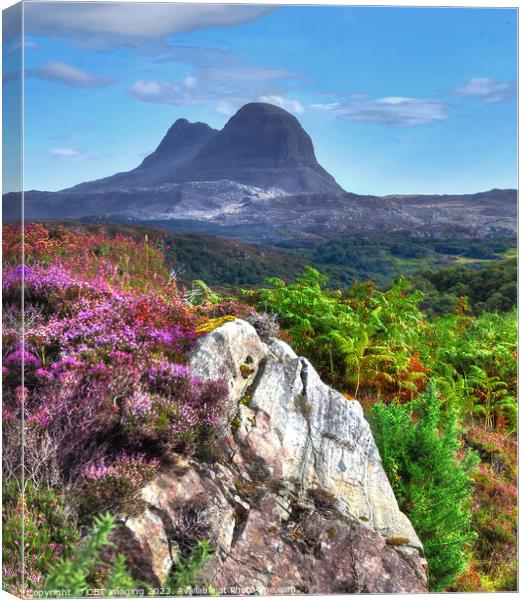 Suliven Mountain Assynt Highland Scotland  Canvas Print by OBT imaging