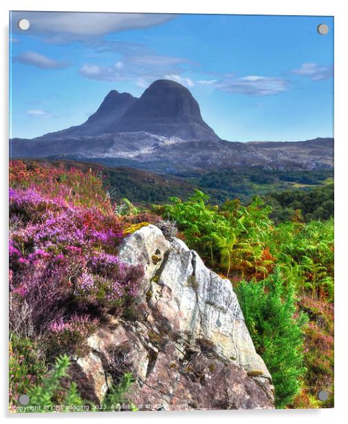 Suliven Mountain Assynt Highland Scotland  Acrylic by OBT imaging