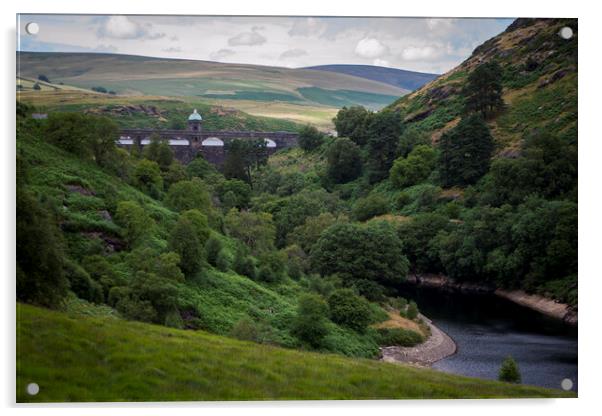 Elan valley Acrylic by Victoria Bowie