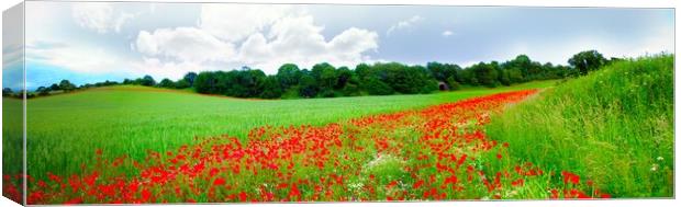 Black stone poppy field Canvas Print by Victoria Bowie