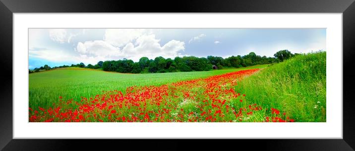 Black stone poppy field Framed Mounted Print by Victoria Bowie