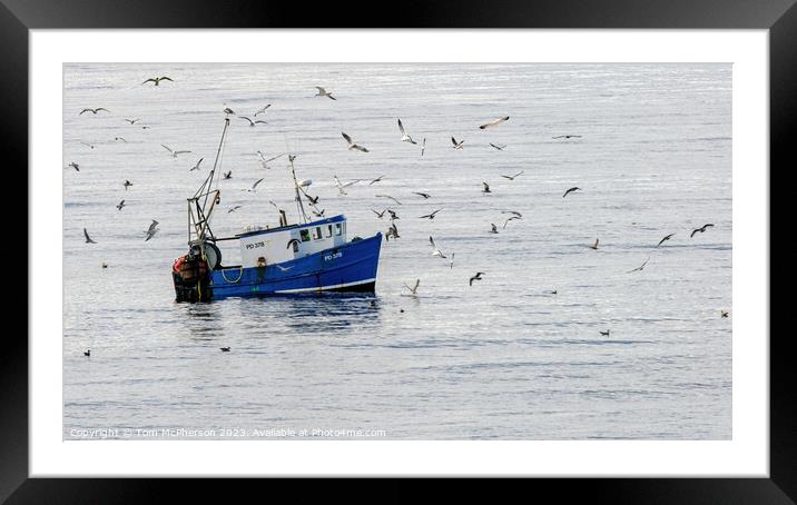 Nautical Birds Over Moray Firth Framed Mounted Print by Tom McPherson
