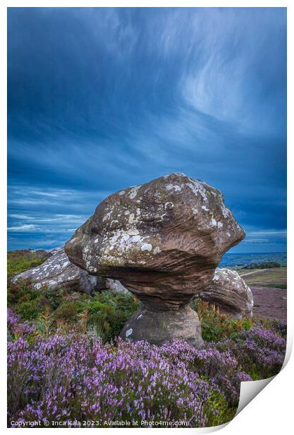 Weather Sculpted Rock and Moorland Heather  Print by Inca Kala