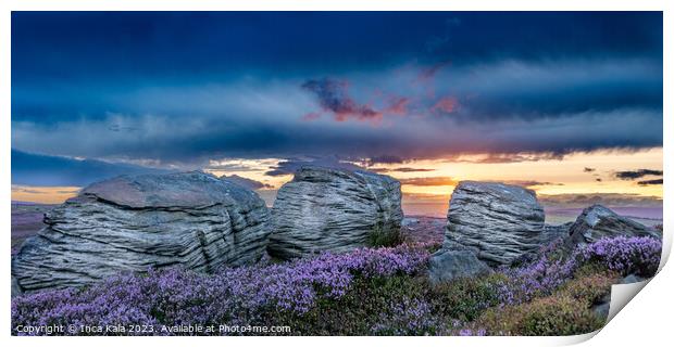 Sunset Tinted Clouds Over Moorland Heather Print by Inca Kala