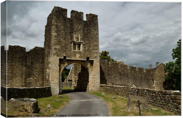 Farleigh Hungerford Castle Canvas Print by Peter Wiseman