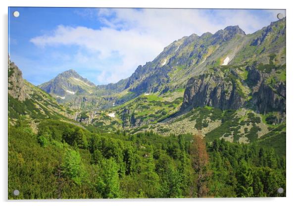Rocky mountains view in High Tatras, Slovakia Acrylic by Virginija Vaidakaviciene
