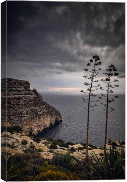 Malta Sea Coast On Gloomy Morning Canvas Print by Artur Bogacki