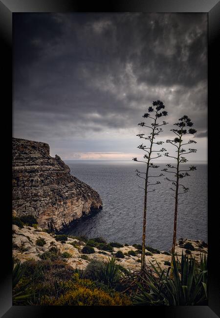 Malta Sea Coast On Gloomy Morning Framed Print by Artur Bogacki