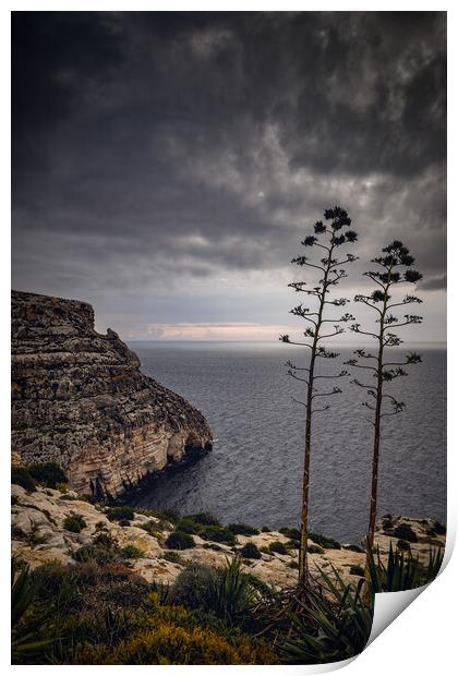 Malta Sea Coast On Gloomy Morning Print by Artur Bogacki