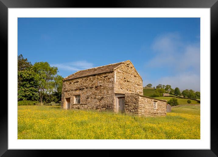 Muker Meadows Framed Mounted Print by Steve Smith