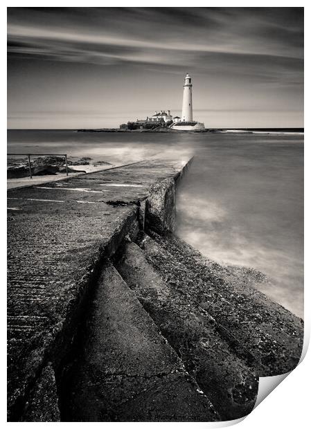 Path to St Mary's Lighthouse Print by Dave Bowman