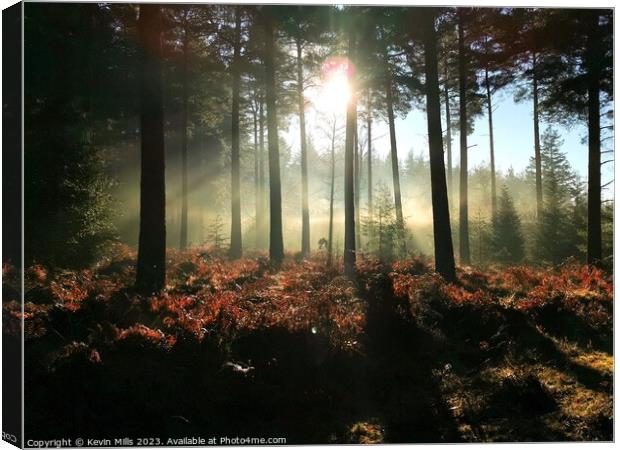 New Forest Winter Morning  Canvas Print by Kevin Mills