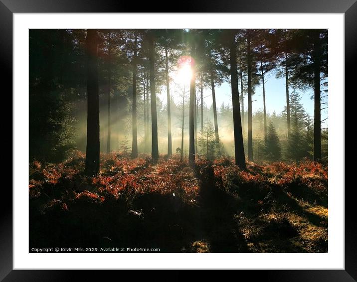 New Forest Winter Morning  Framed Mounted Print by Kevin Mills