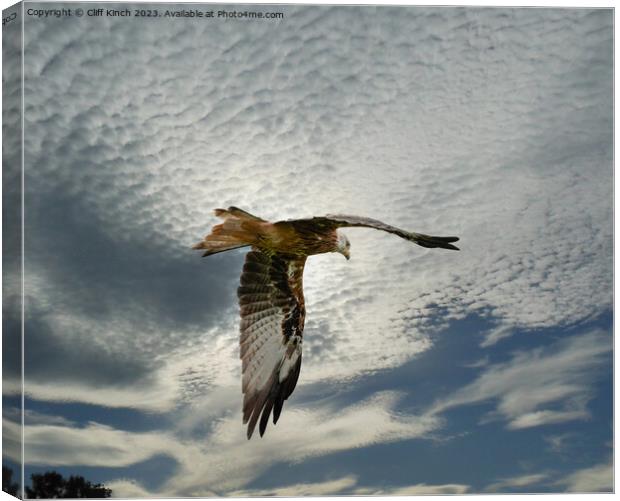 Soaring Red Kite Amidst Clouds Canvas Print by Cliff Kinch