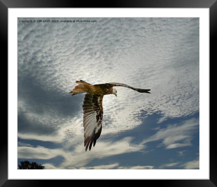 Soaring Red Kite Amidst Clouds Framed Mounted Print by Cliff Kinch