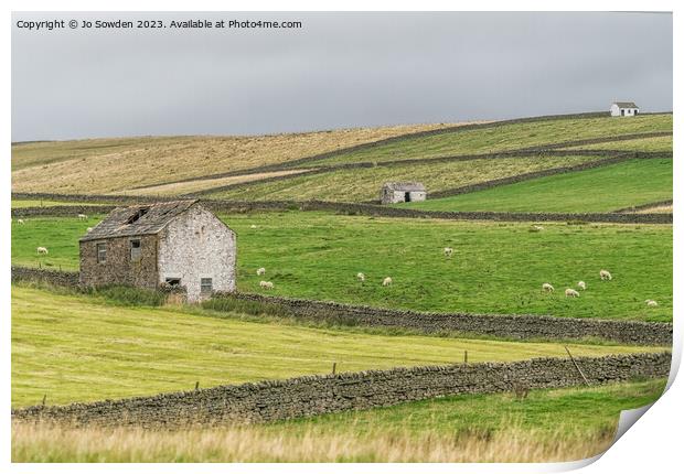 Teesdale Countryside View Print by Jo Sowden