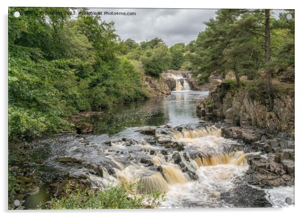 Low Force Waterfall, Teesdale Acrylic by Jo Sowden
