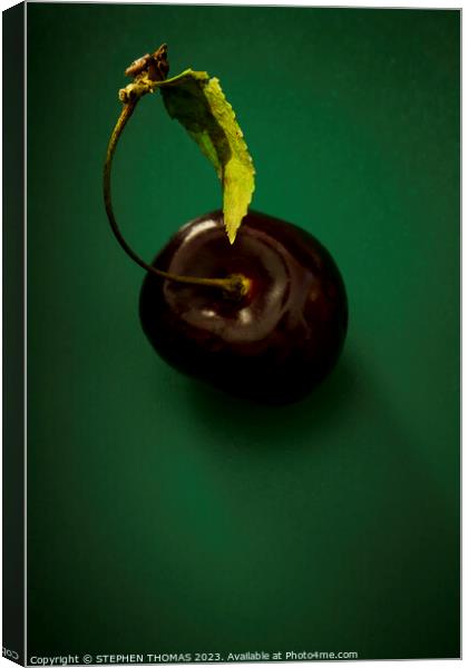 Cherry with leaf on green Canvas Print by STEPHEN THOMAS