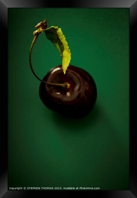Cherry with leaf on green Framed Print by STEPHEN THOMAS