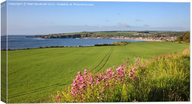 Across the Fields to Stonehaven Aberdeenshire pano Canvas Print by Pearl Bucknall