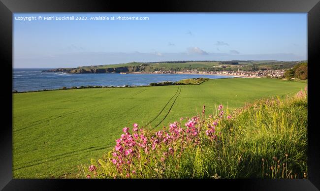 Across the Fields to Stonehaven Aberdeenshire pano Framed Print by Pearl Bucknall