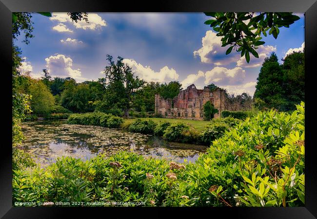 The ruins of Old Scotney Castle in Kent England Uk late afternoon Framed Print by John Gilham